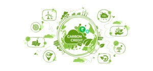 Read more about the article Climate Change Mitigation and Carbon Credits