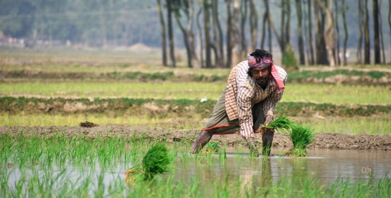 Carbon Farming